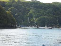 Helford.jpg