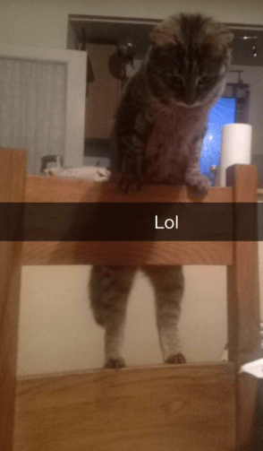LOL.png